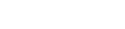 Integer Technologies